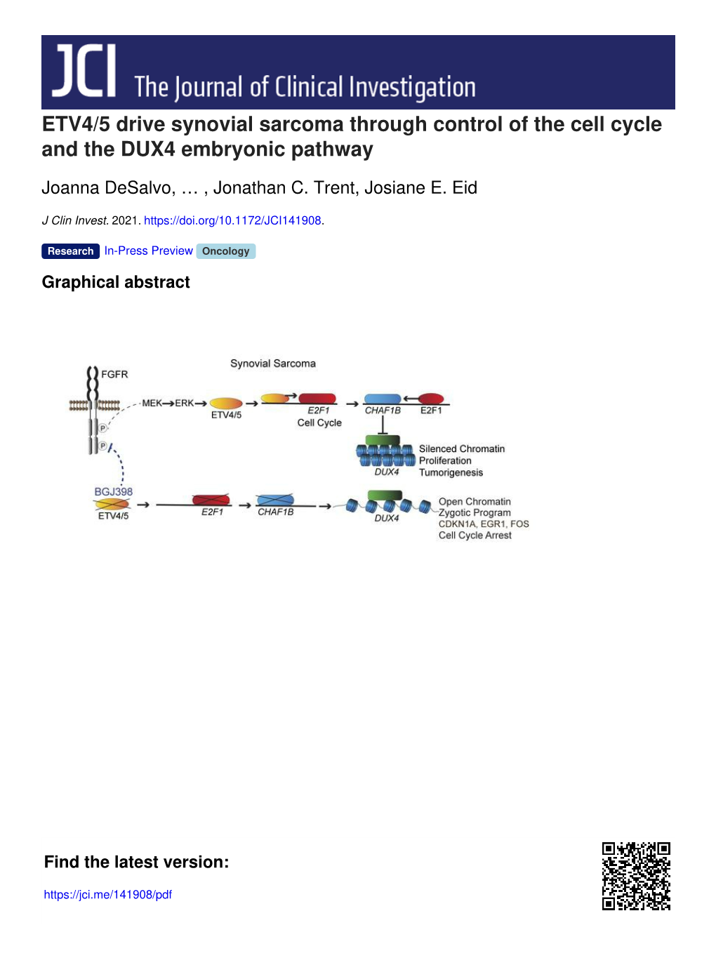 ETV4/5 Drive Synovial Sarcoma Through Control of the Cell Cycle and the DUX4 Embryonic Pathway