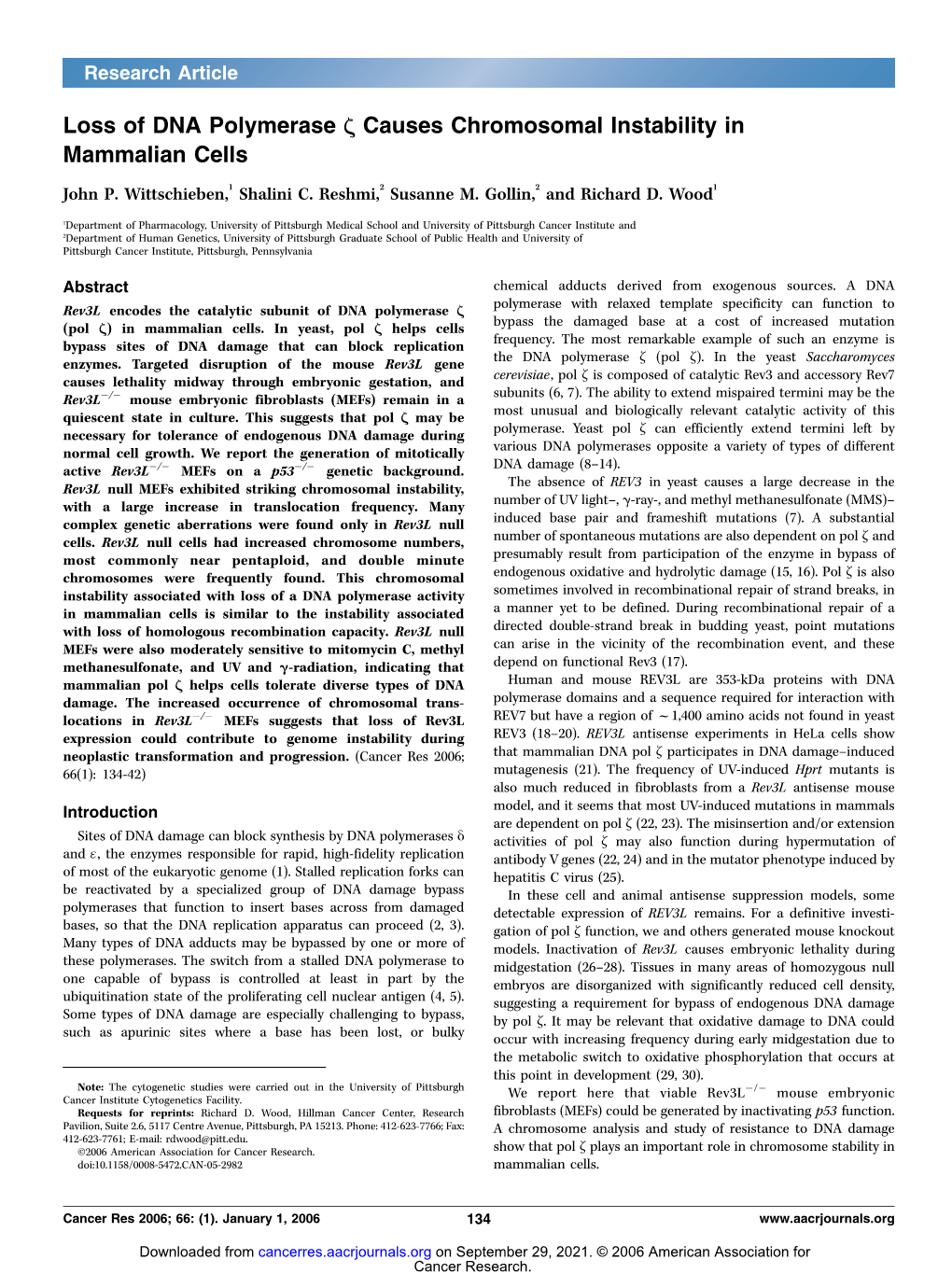 Loss of DNA Polymerase Z Causes Chromosomal Instability in Mammalian Cells