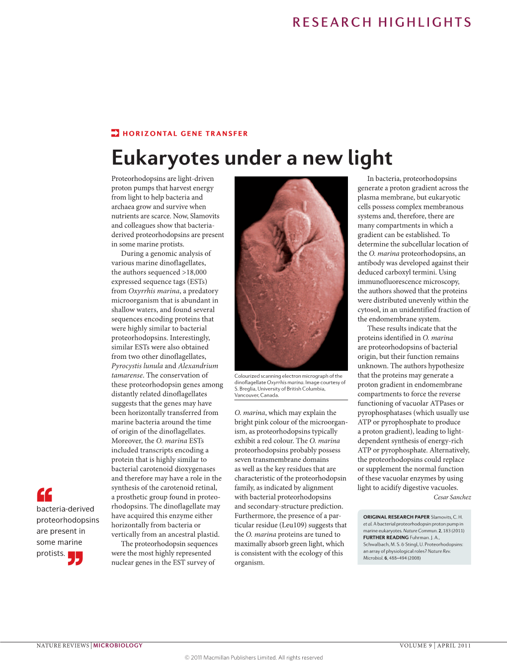 Horizontal Gene Transfer: Eukaryotes Under a New Light