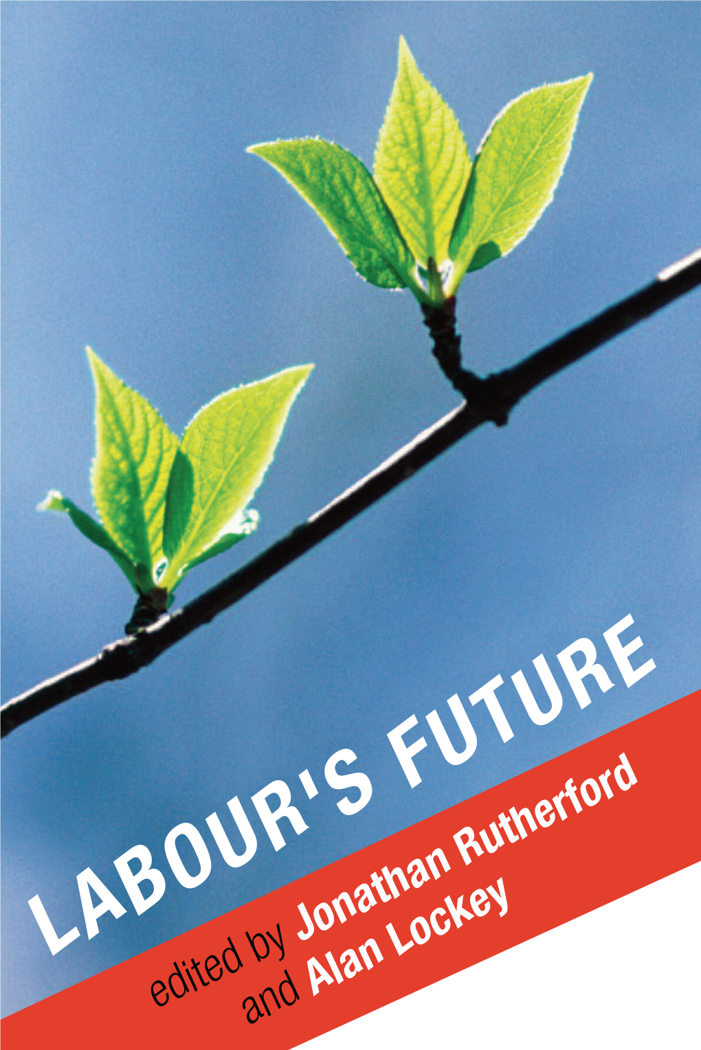 Labour's Future