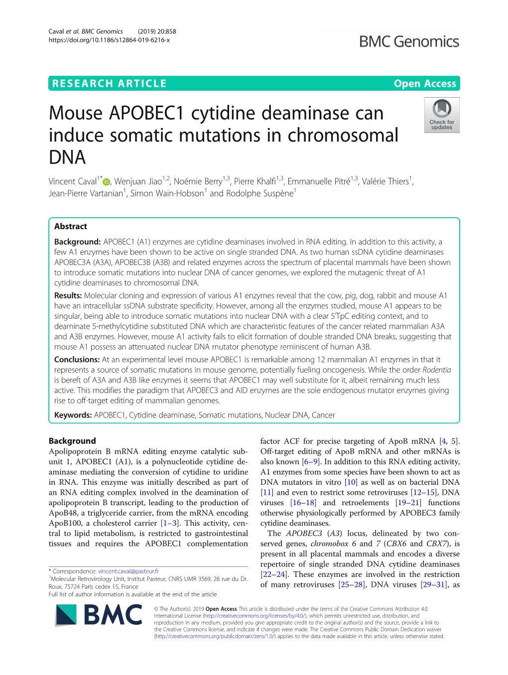 Mouse APOBEC1 Cytidine Deaminase Can Induce