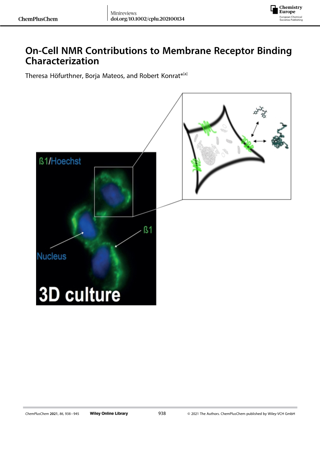 On‐Cell NMR Contributions to Membrane Receptor Binding