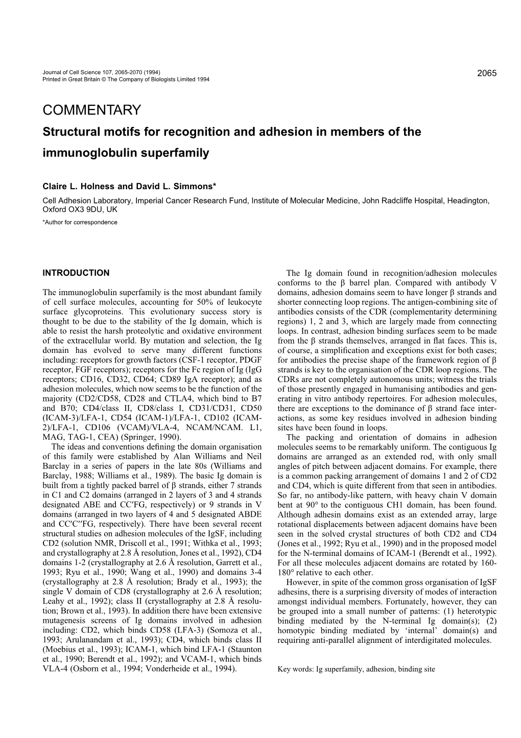 Structural Motifs for Recognition and Adhesion in Members of the Immunoglobulin Superfamily