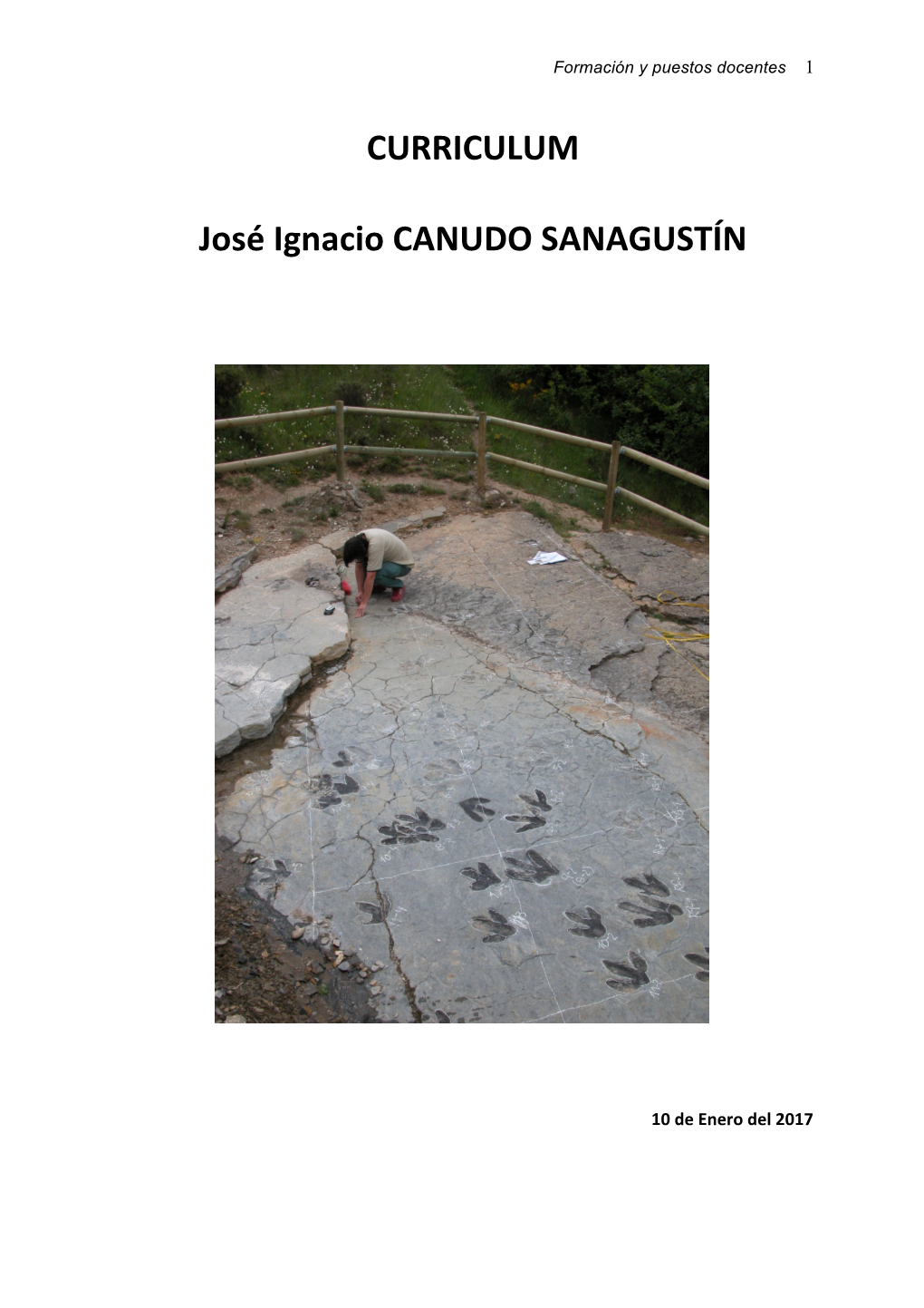 CURRICULUM José Ignacio CANUDO SANAGUSTÍN