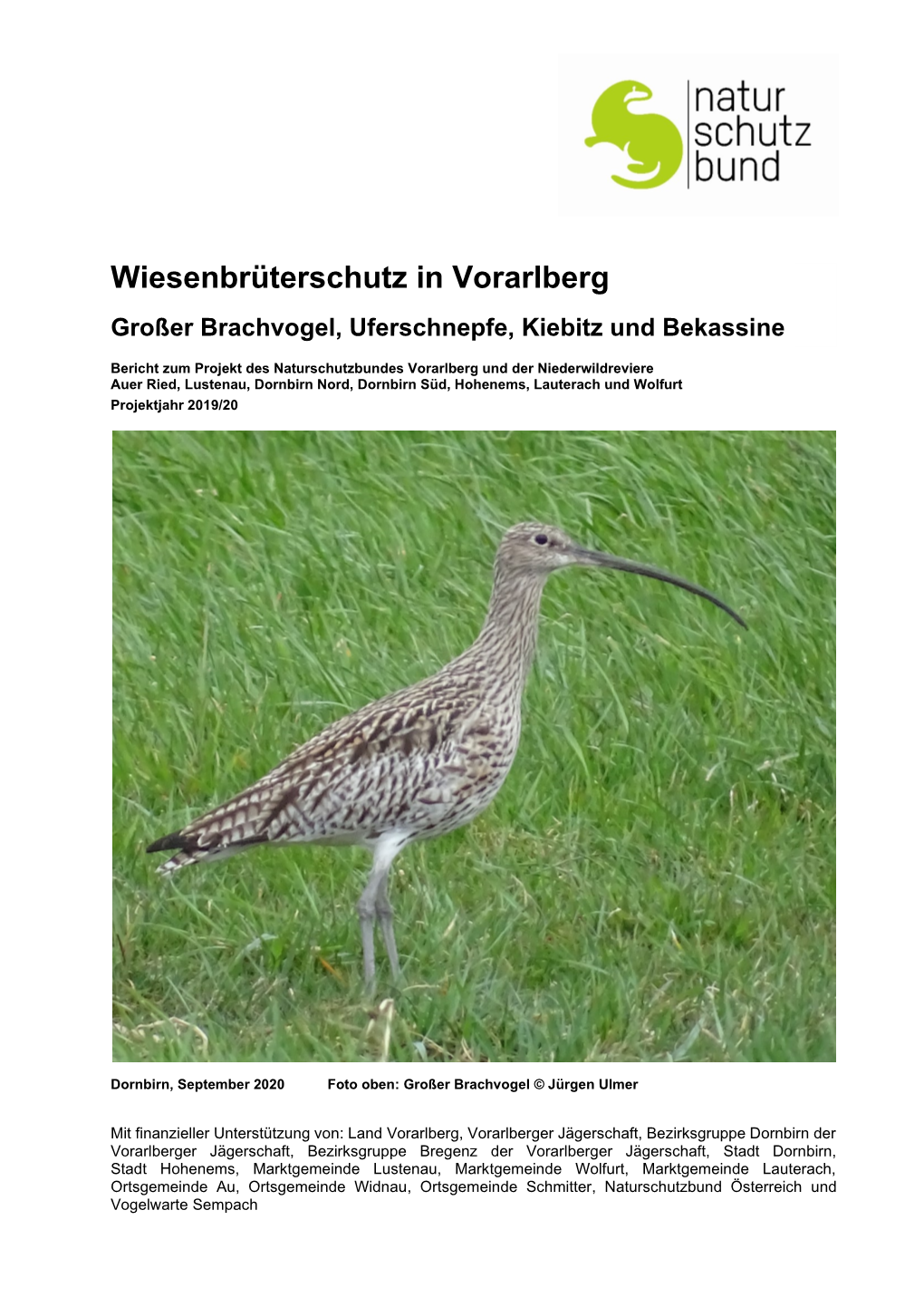 Wiesenbrüterschutz in Vorarlberg Großer Brachvogel, Uferschnepfe, Kiebitz Und Bekassine