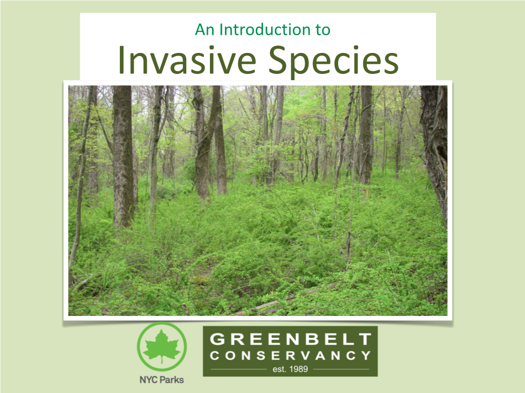 Edited Invasive Species Slideshow