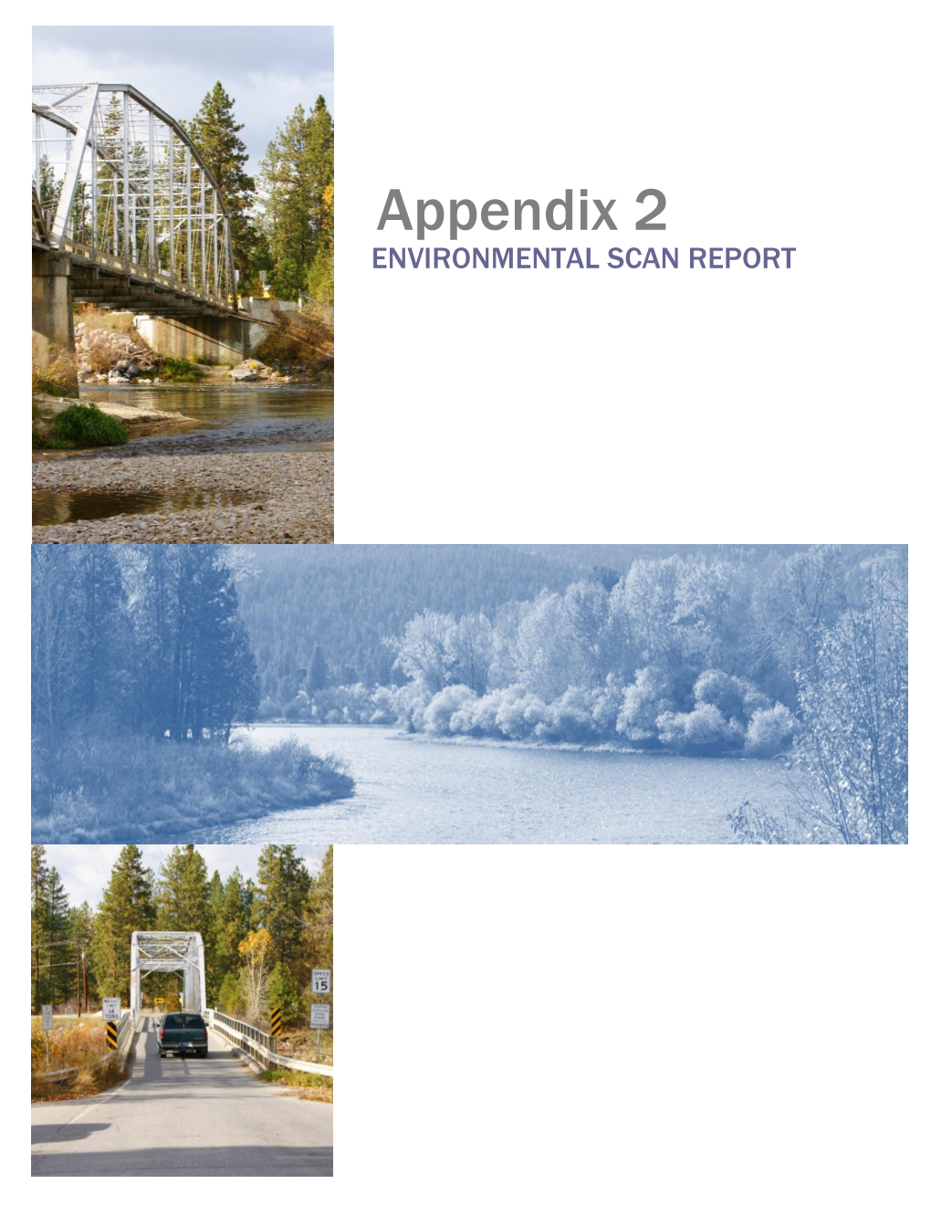 Appendix 2: Environmental Scan Report