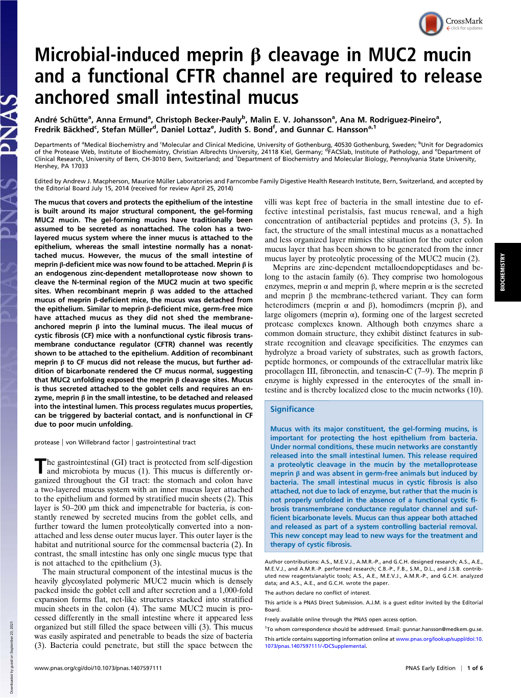 Microbial-Induced Meprin Β Cleavage in MUC2 Mucin and a Functional CFTR Channel Are Required to Release Anchored Small Intestinal Mucus