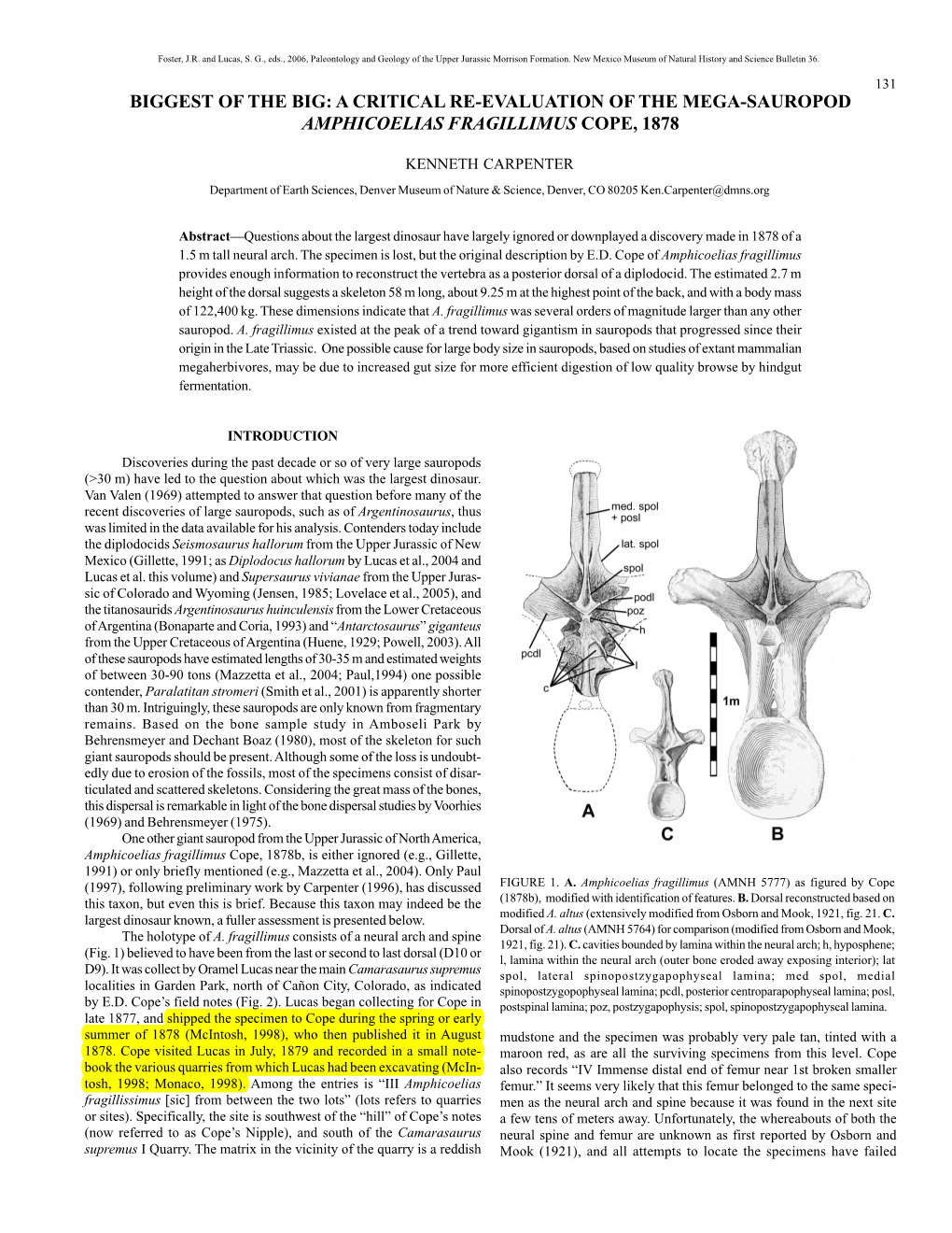 Biggest of the Big: a Critical Re-Evaluation of the Mega-Sauropod Amphicoelias Fragillimus Cope, 1878