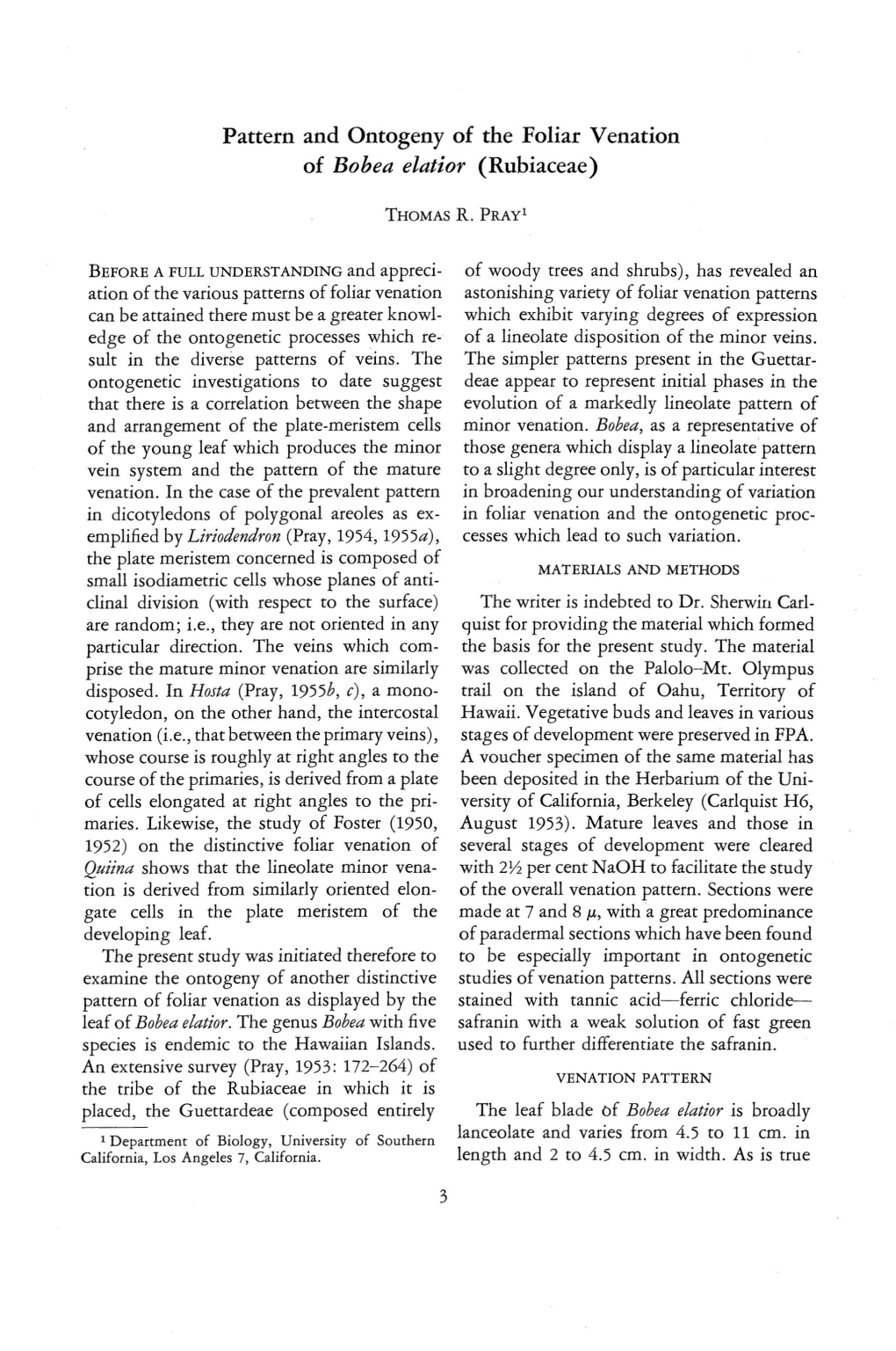 Pattern and Ontogeny of the Foliar Venation of Bobea Elatior (Rubiaceae)