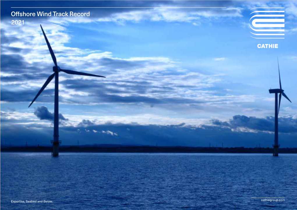 Offshore Wind Track Record 2021