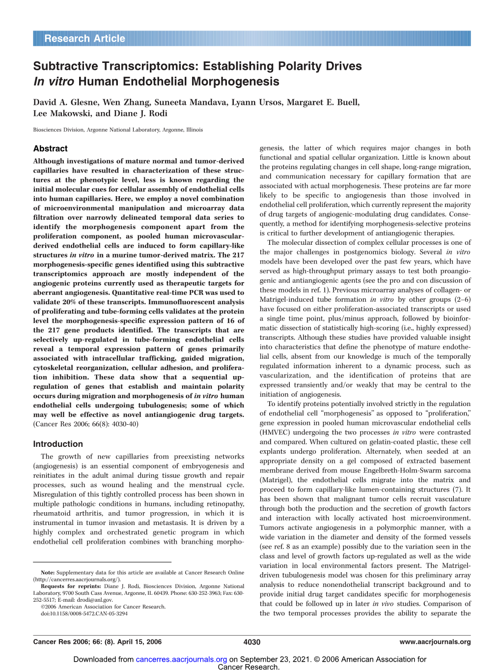 Establishing Polarity Drives in Vitro Human Endothelial Morphogenesis