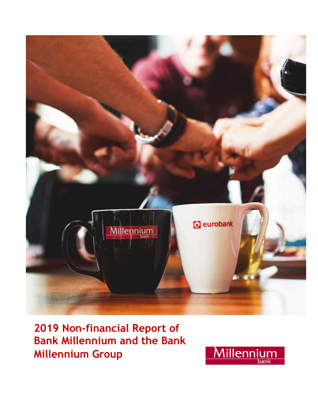 Link Opens in a New Window2019 Report on Non