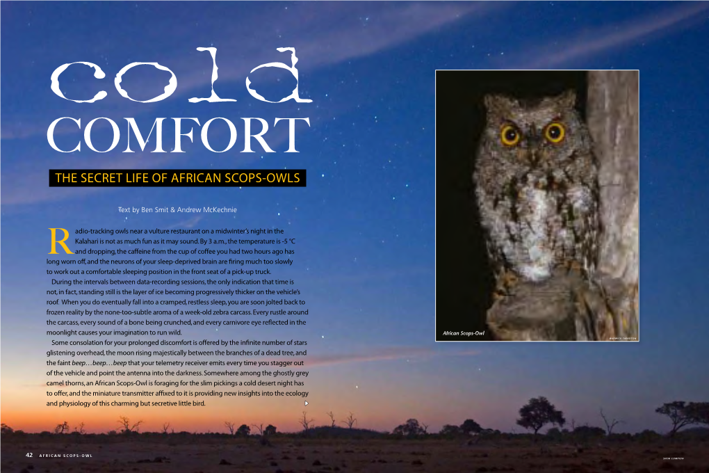 The Secret Life of African Scops-Owls