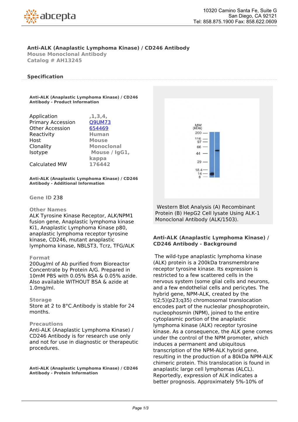 Anti-ALK (Anaplastic Lymphoma Kinase) / CD246 Antibody Mouse Monoclonal Antibody Catalog # AH13245