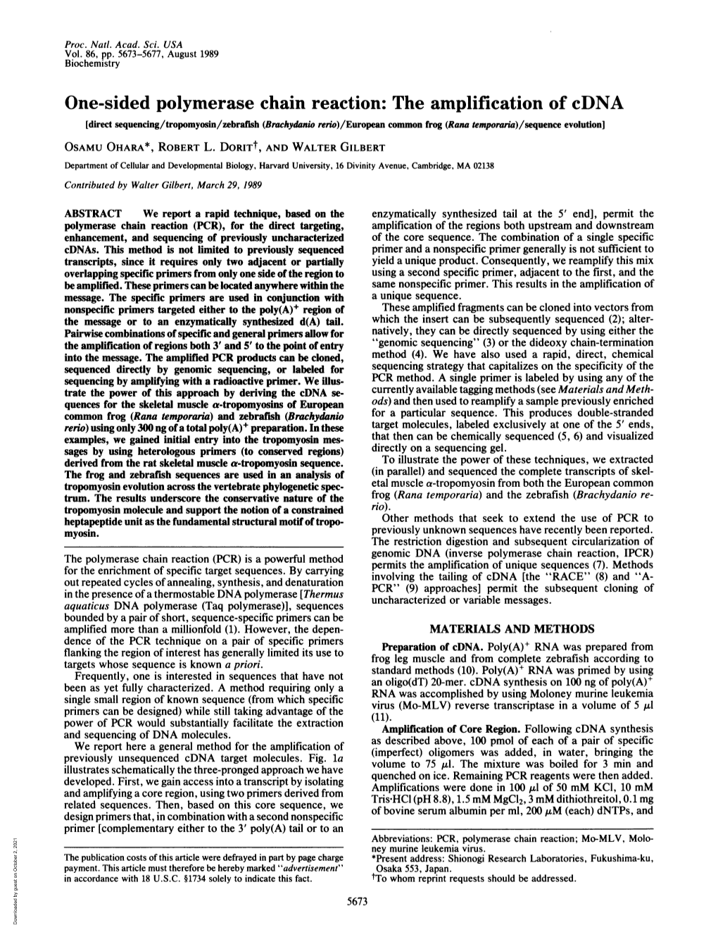 One-Sided Polymerase Chain Reaction: the Amplification of Cdna