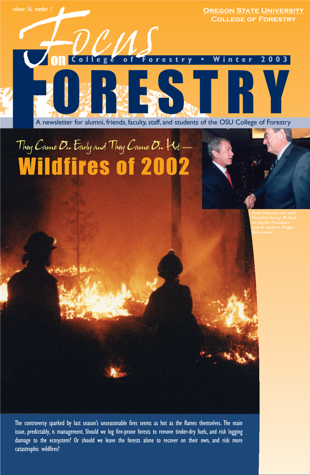 Wildfires of 2002