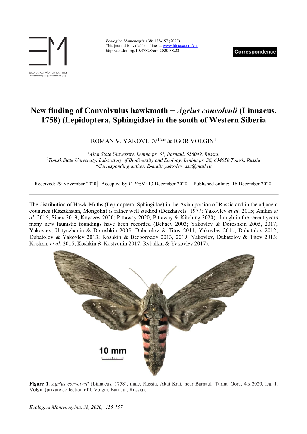 Lepidoptera, Sphingidae) in the South of Western Siberia