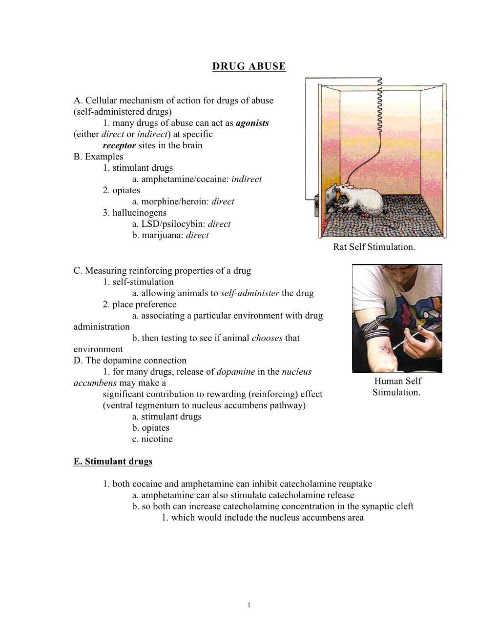 Bio 273: Drugs of Abuse