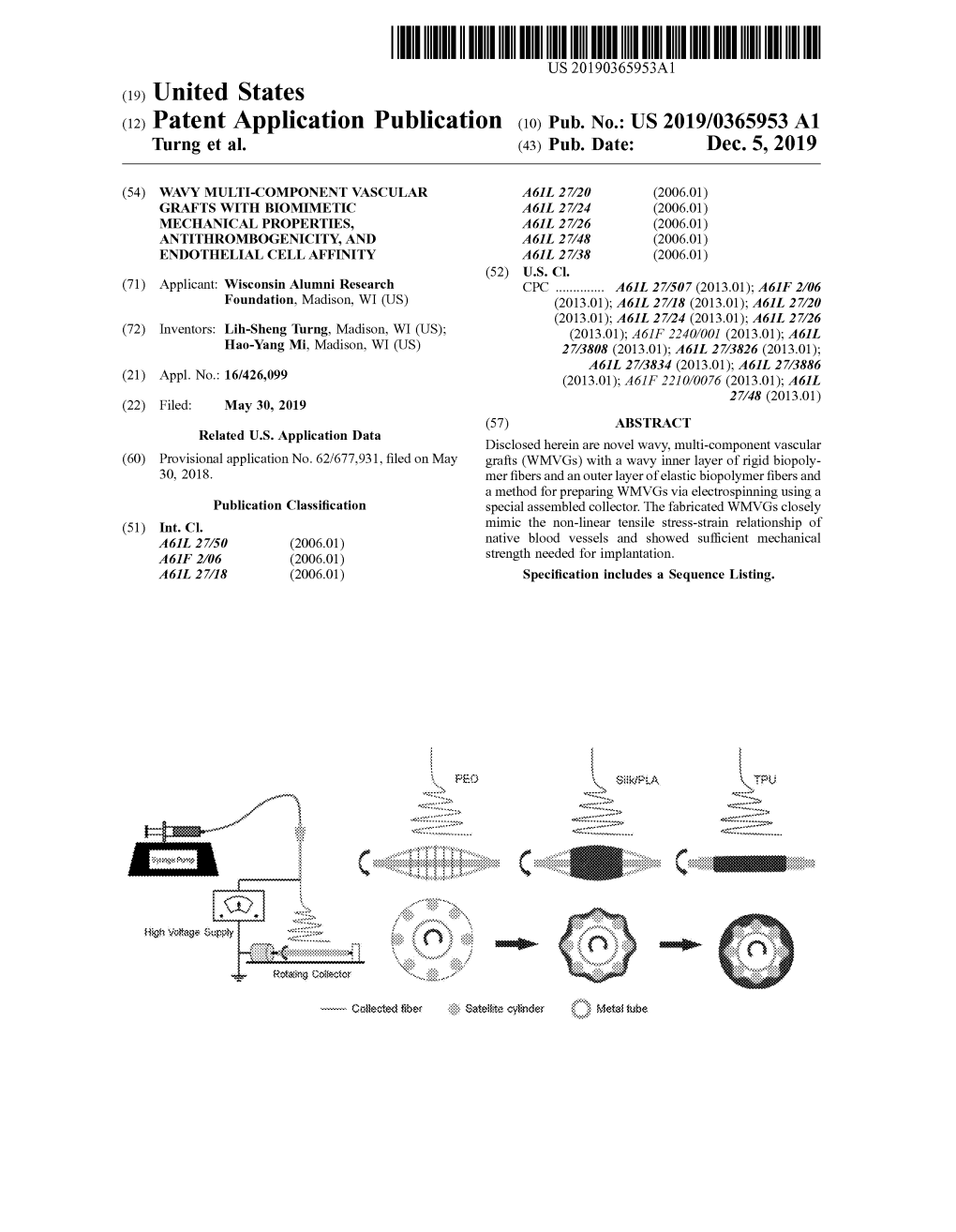 C19) United States C12) Patent Application Publication C10) Pub