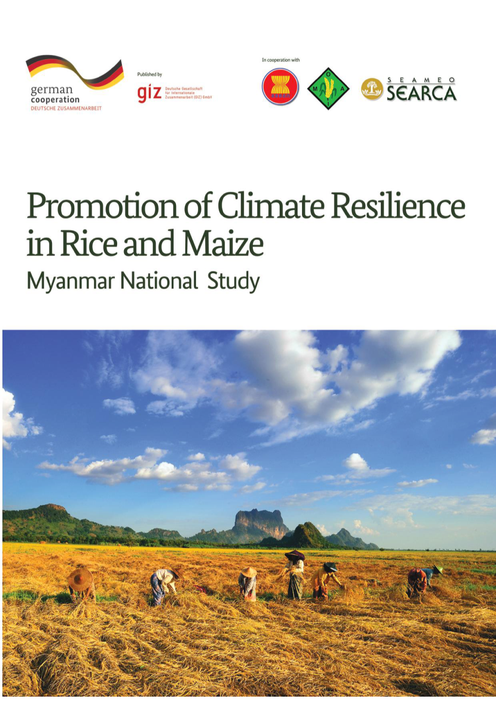 Myanmar National Study