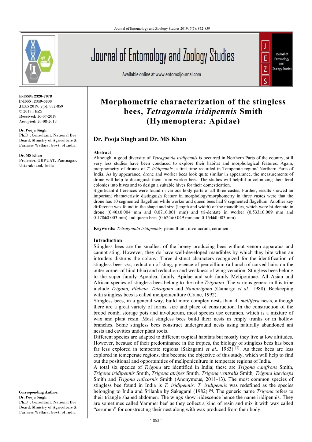 Morphometric Characterization of the Stingless Bees, Tetragonula