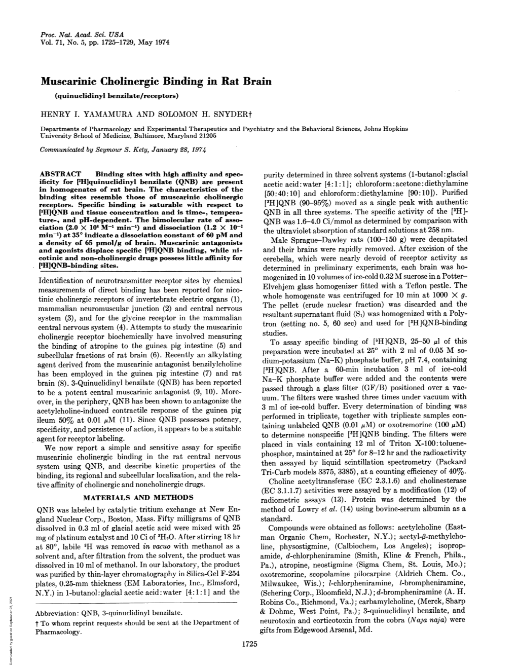 Muscarinic Cholinergic Binding in Rat Brain (Quinuclidinyl Benzilate/Receptors)