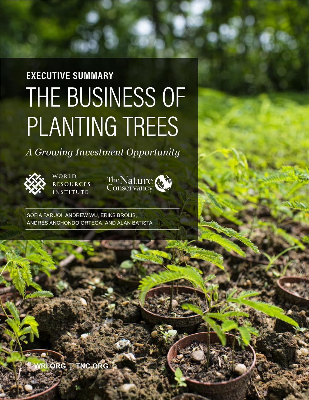 THE BUSINESS of PLANTING TREES a Growing Investment Opportunity