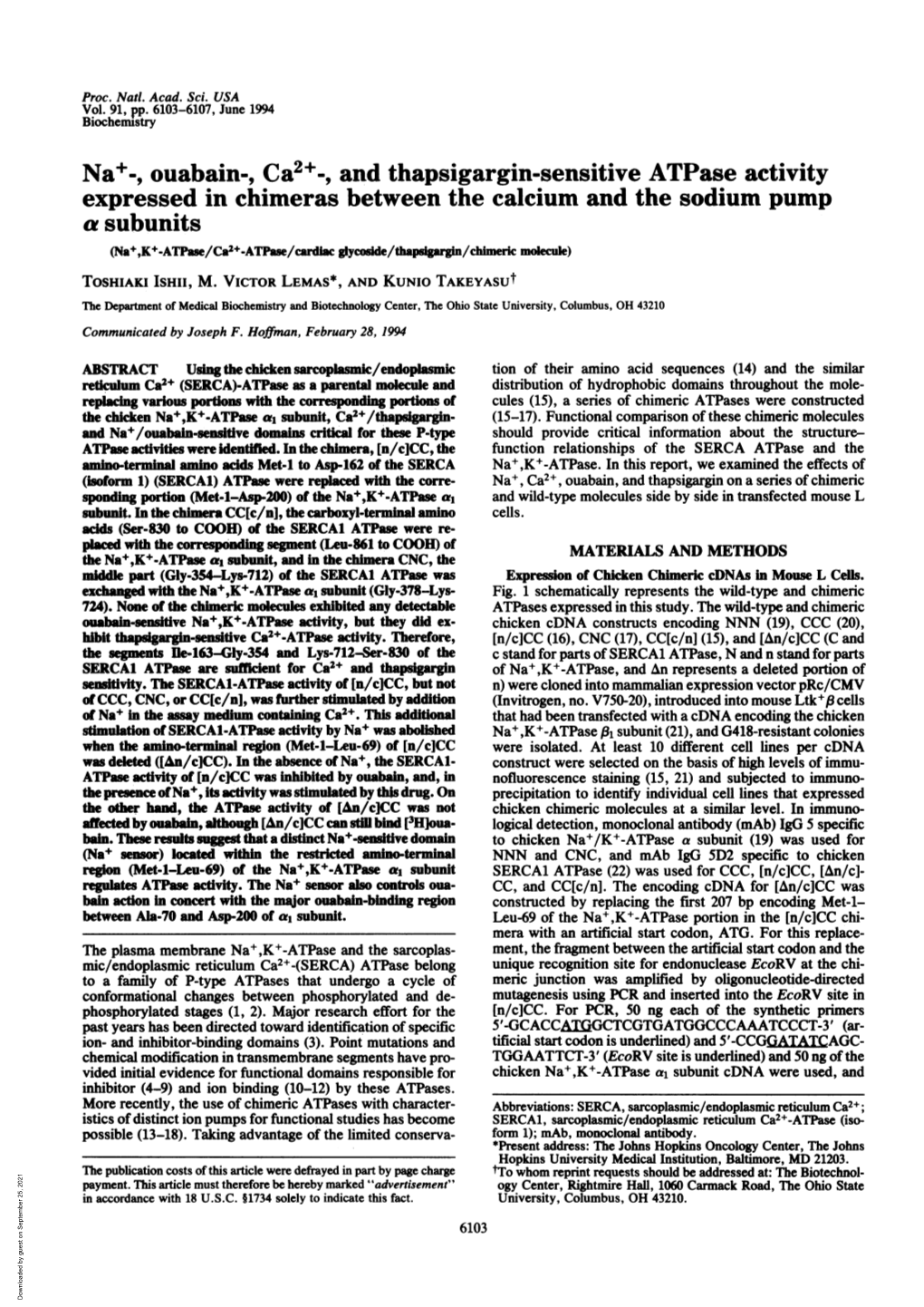 Na+-, Ouabain-, Ca2 -, and Thapsigargin-Sensitive Atpase