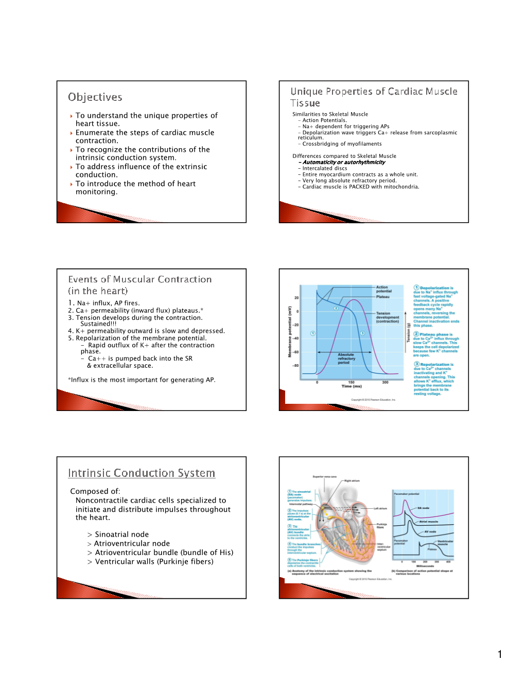 To Understand the Unique Properties of Heart Tissue. Enumerate the Steps of Cardiac Muscle Contraction. to Recognize