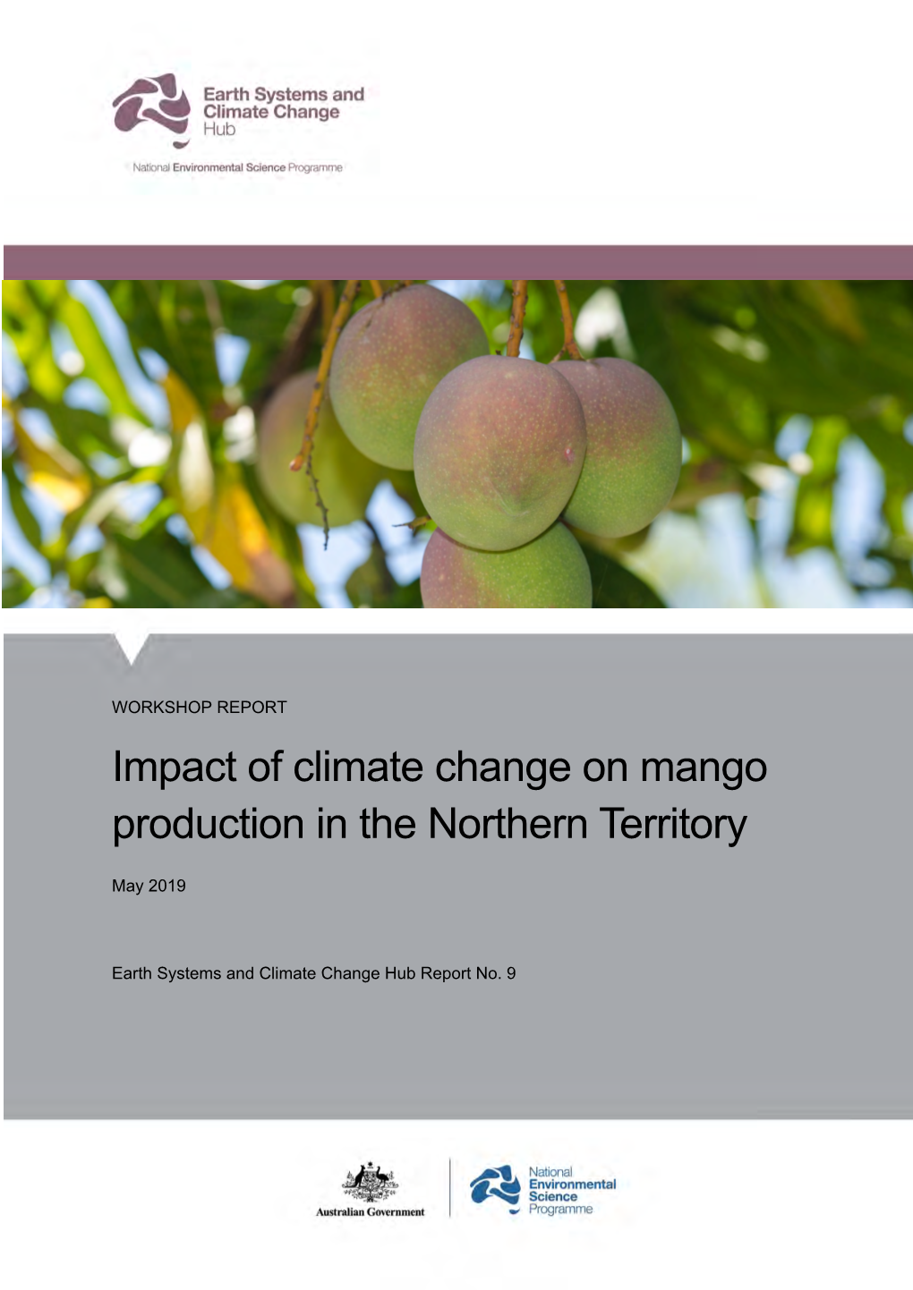 Impact of Climate Change on Mango Production in the Northern Territory