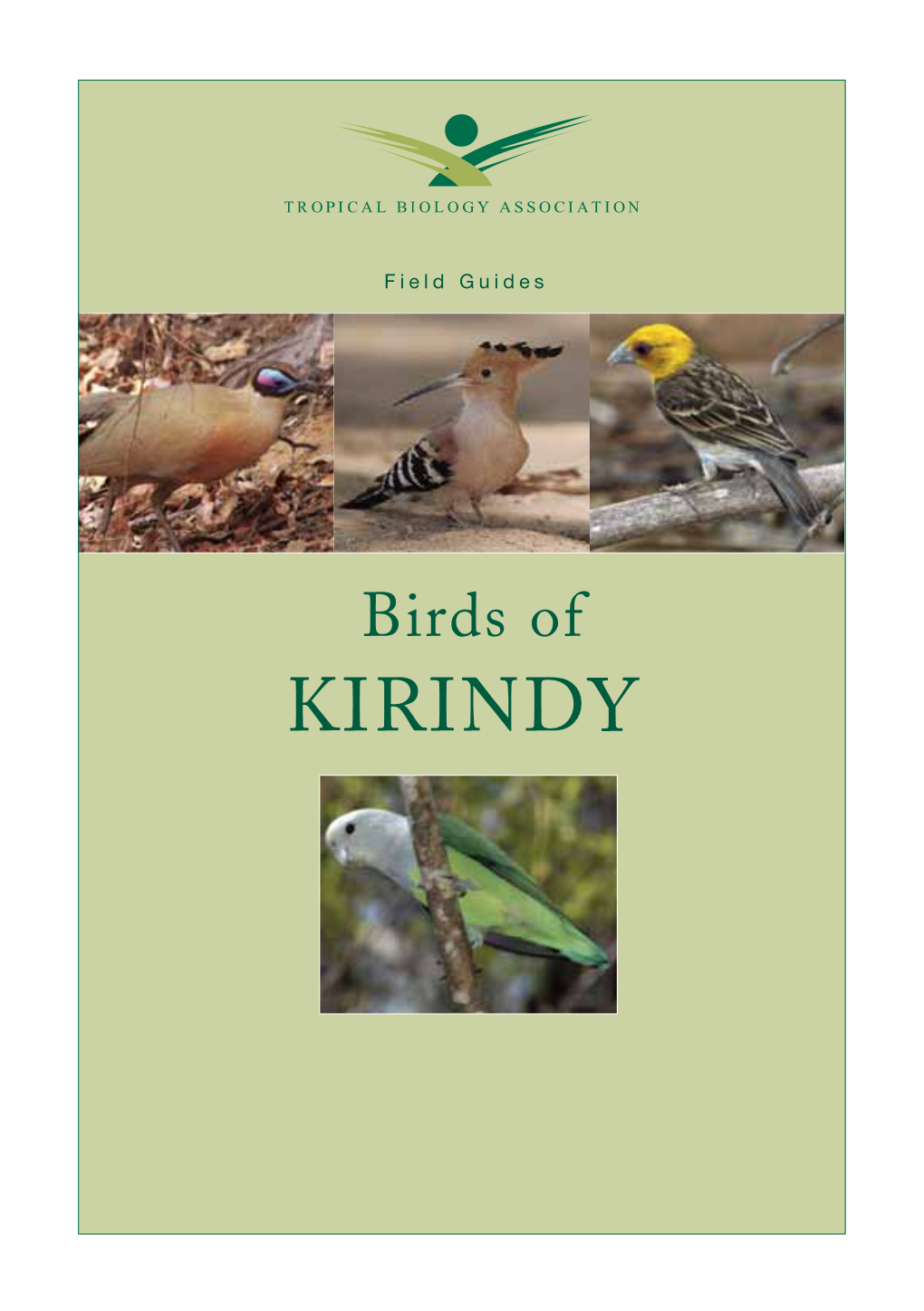 KIRINDY KIRINDY FOREST Kirindy Is a Dry Deciduous Forest Covering About 12 000 Ha and Is Managed by the Centre De Formation Professionelle Forestière (CFPF)