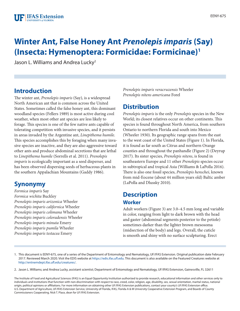 Winter Ant, False Honey Ant Prenolepis Imparis (Say) (Insecta: Hymenoptera: Formicidae: Formicinae)1 Jason L