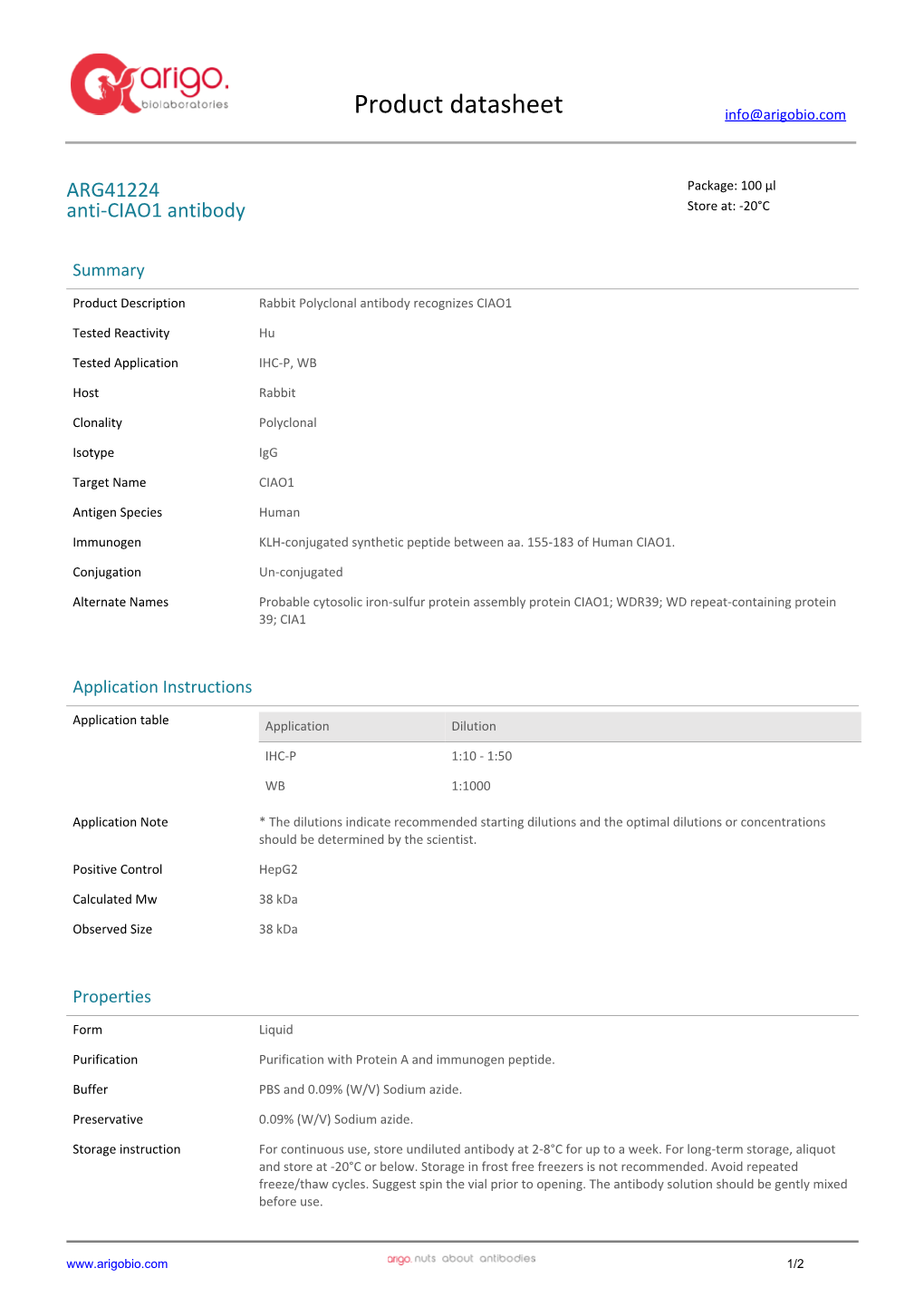 Anti-CIAO1 Antibody (ARG41224)