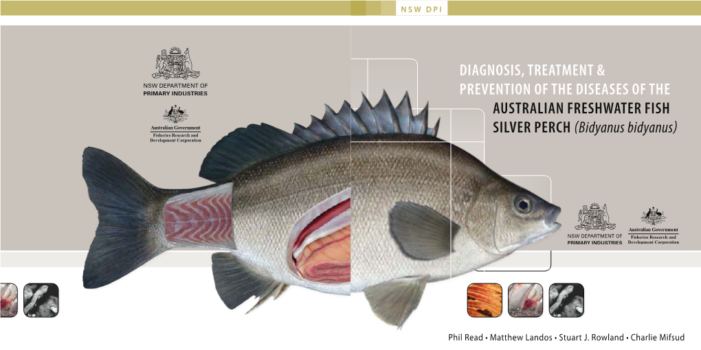 Diagnosis, Treatment & Prevention of the Diseases of the Silver Perch