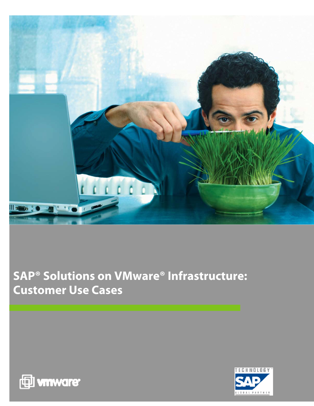 SAP® Solutions on Vmware® Infrastructure: Customer Use Cases