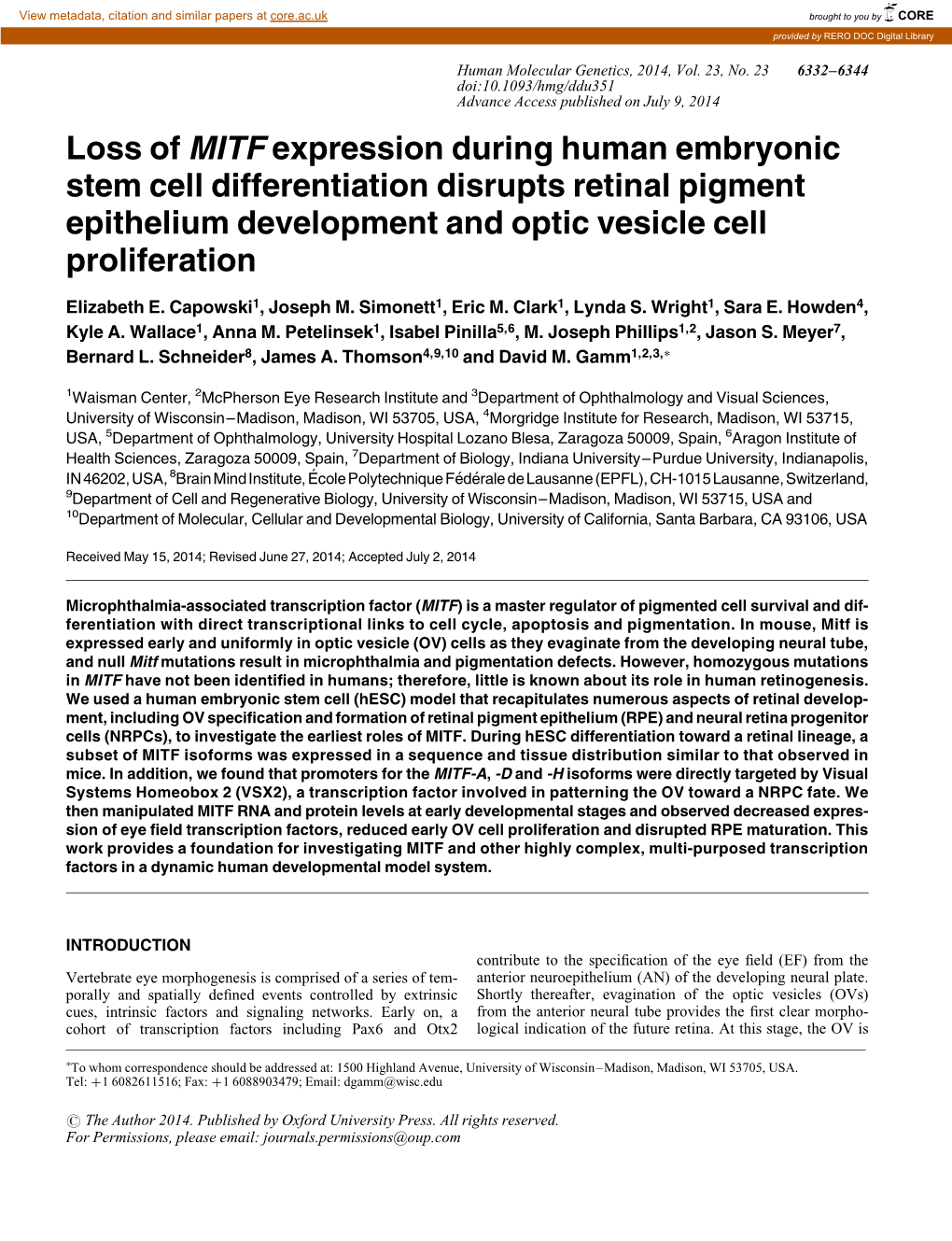 Loss of MITF Expression During Human Embryonic Stem Cell Differentiation Disrupts Retinal Pigment Epithelium Development and Optic Vesicle Cell Proliferation