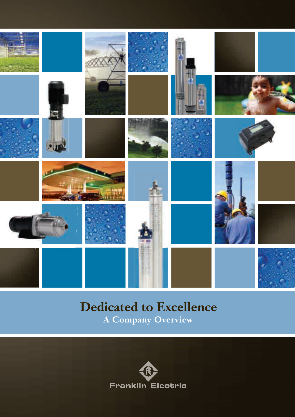 Dedicated to Excellence a Company Overview