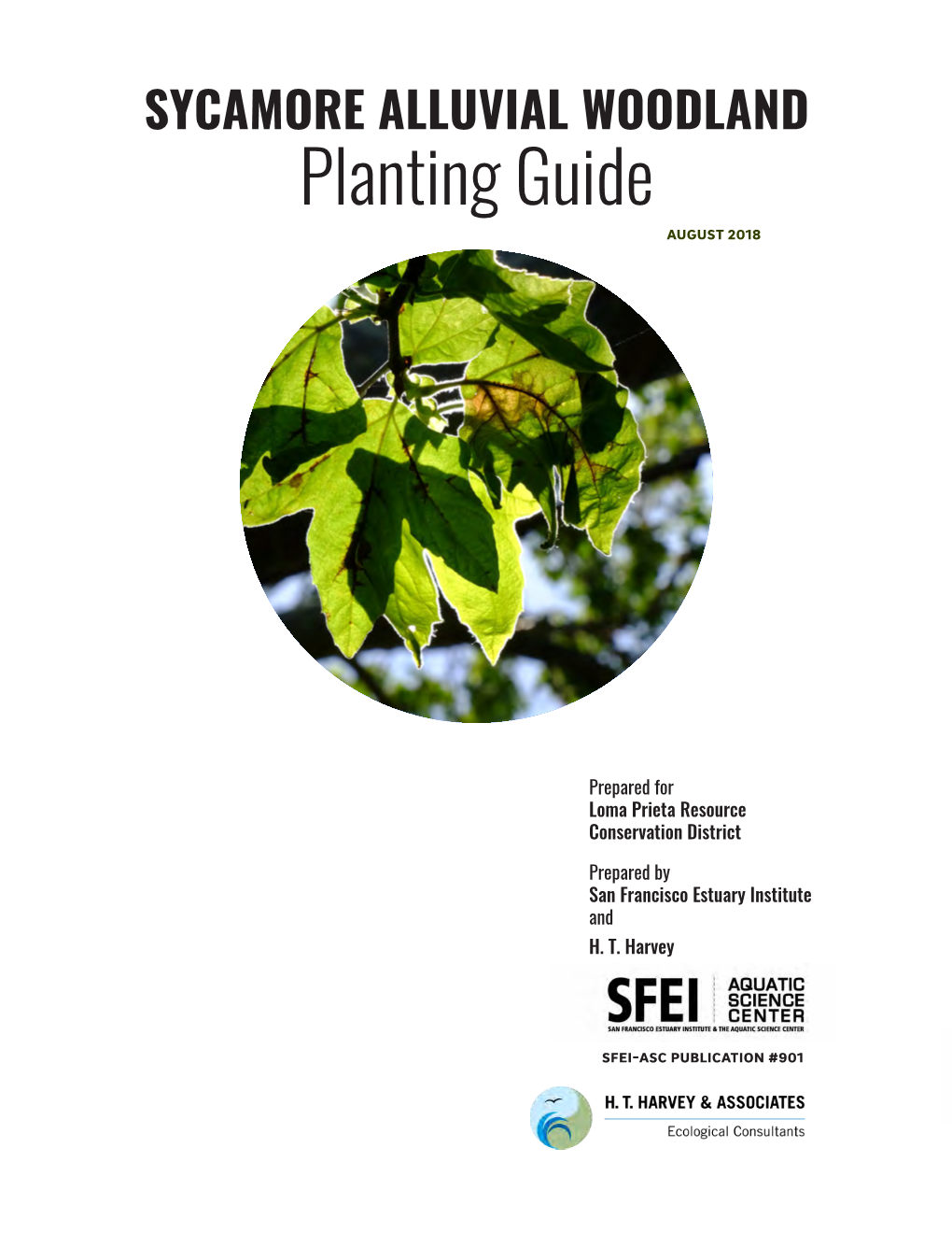 SYCAMORE ALLUVIAL WOODLAND Planting Guide August 2018