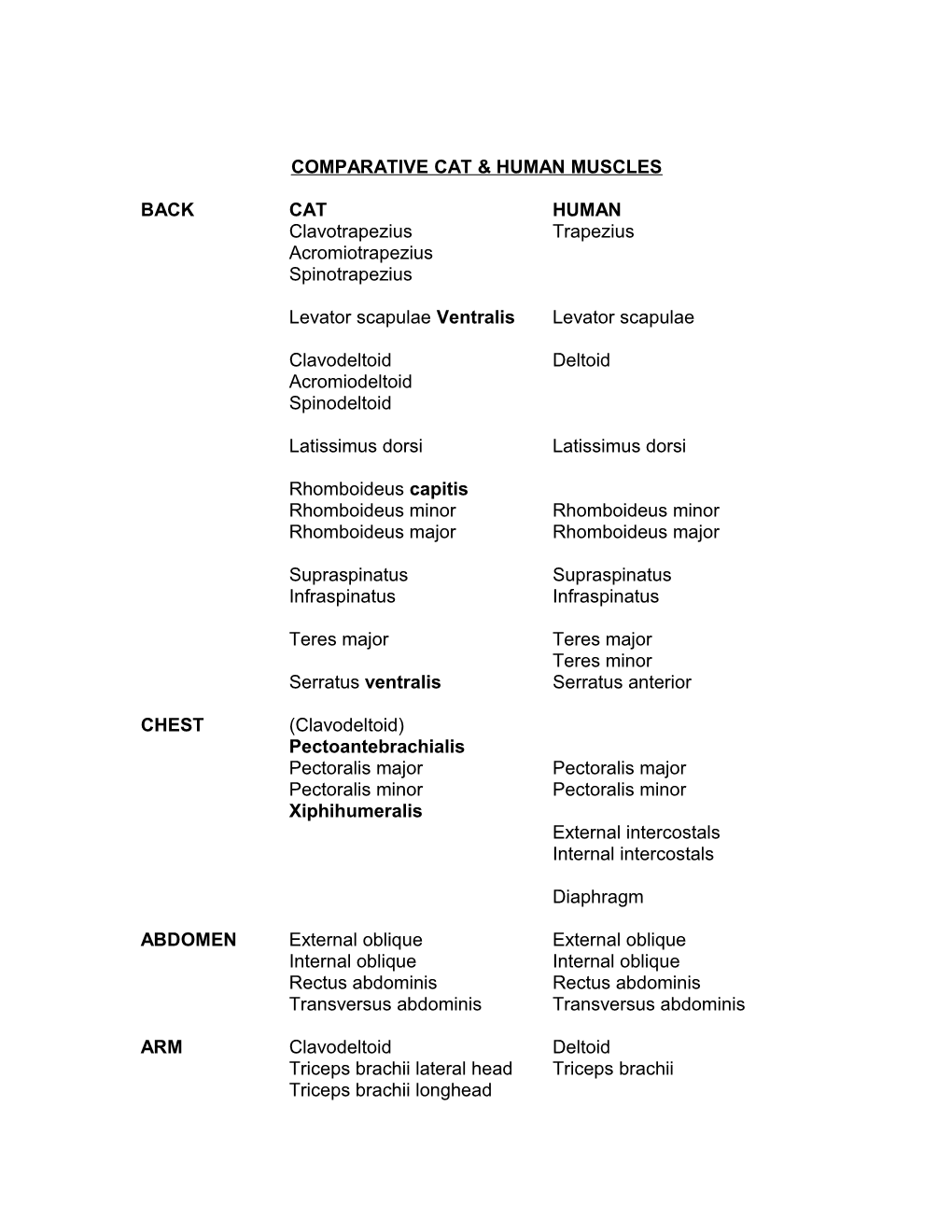 Comparative Cat & Human Muscles