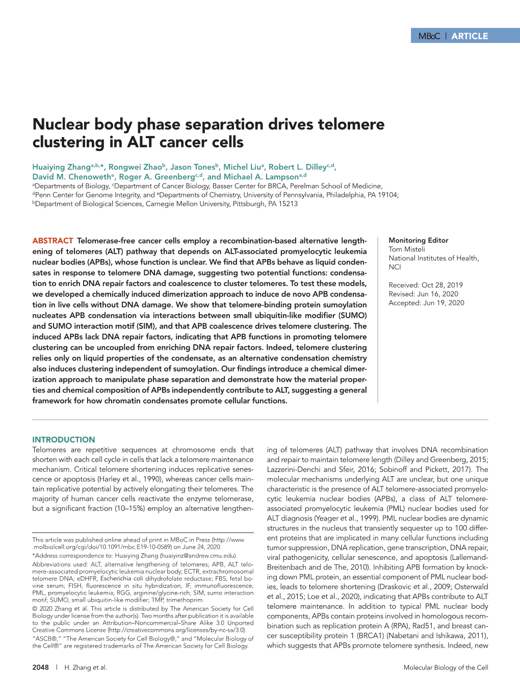 Nuclear Body Phase Separation Drives Telomere Clustering in ALT Cancer Cells