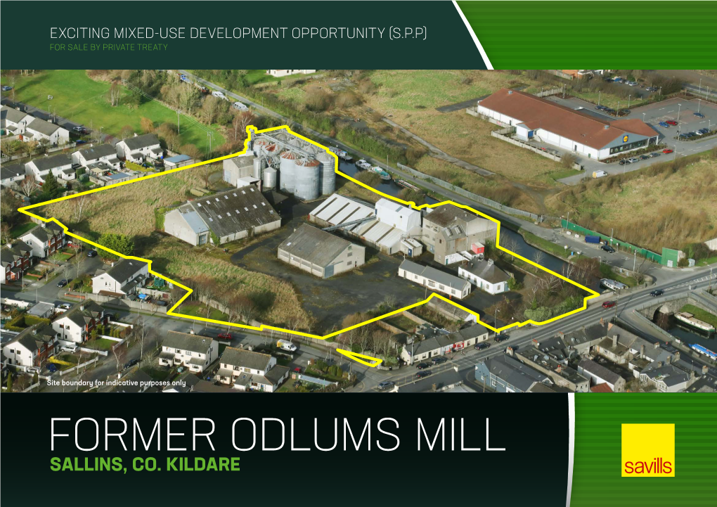 Former Odlums Mill Sallins, Co