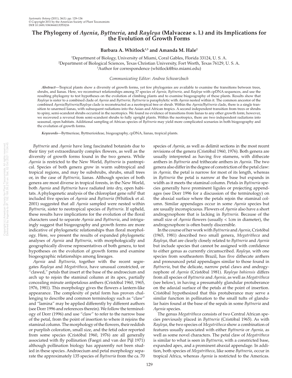 The Phylogeny of Ayenia, Byttneria, and Rayleya