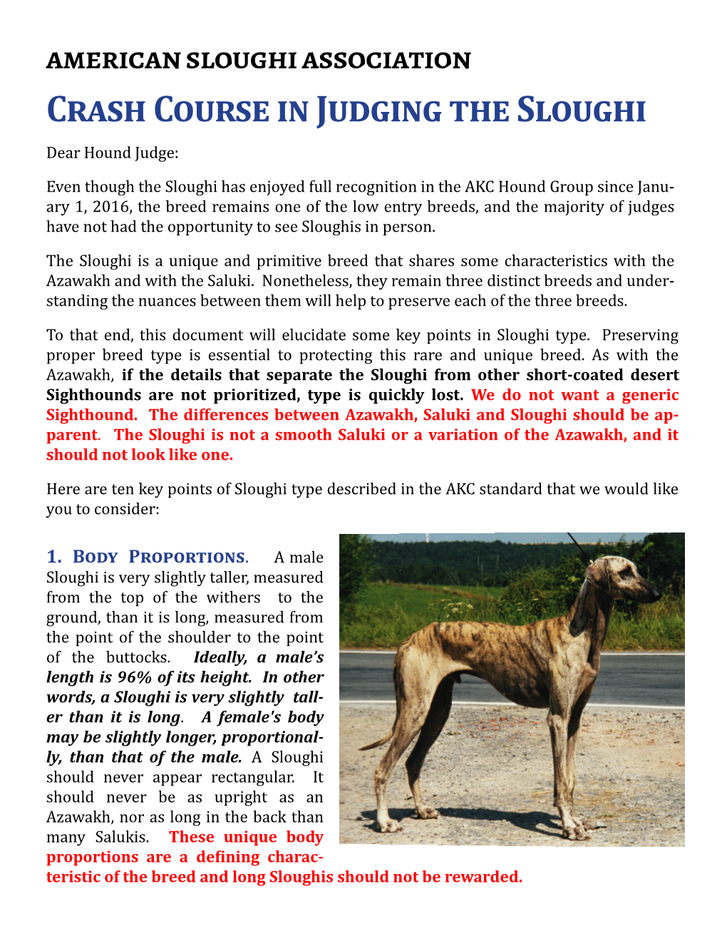 Crash Course in Judging the Sloughi Dear Hound Judge