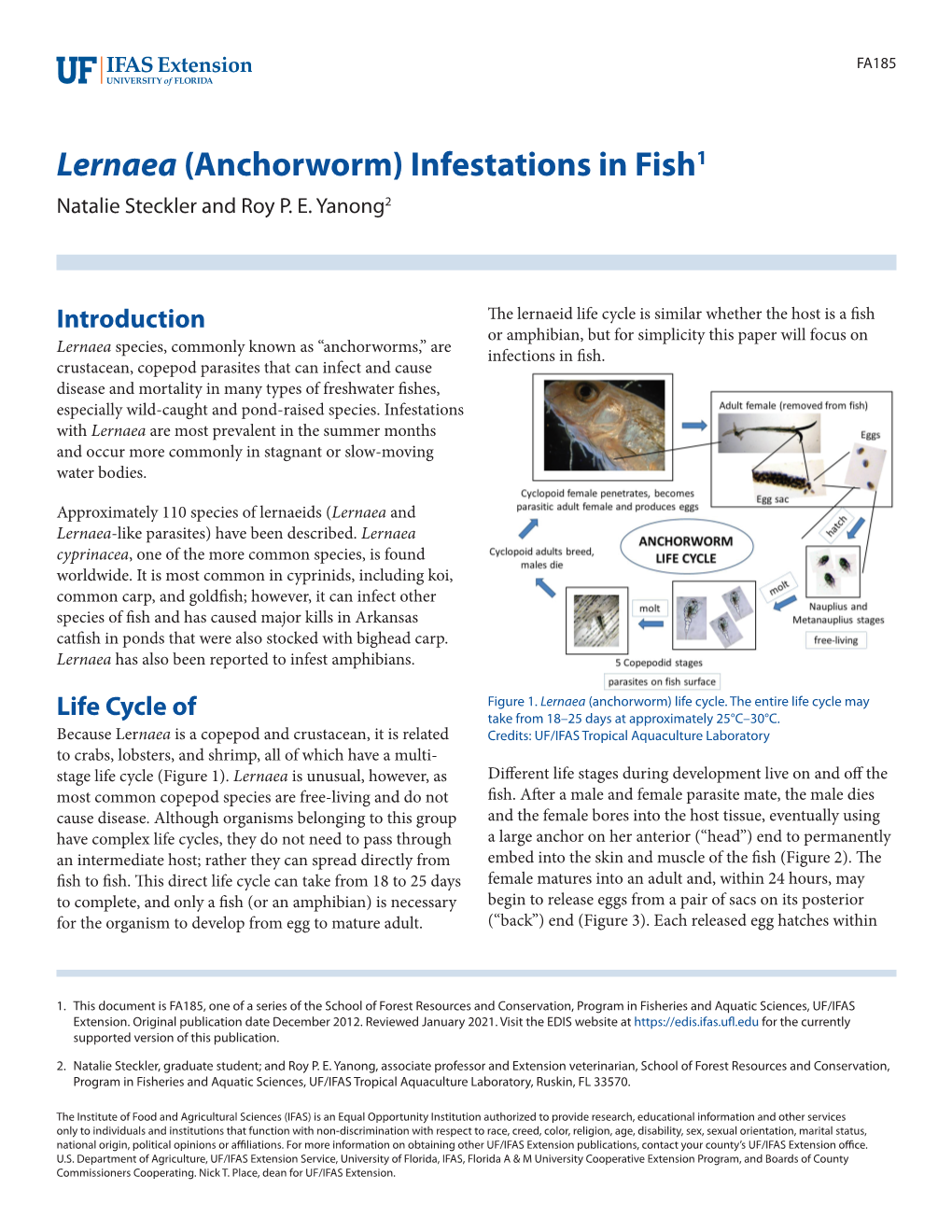 Lernaea (Anchorworm) Infestations in Fish1 Natalie Steckler and Roy P