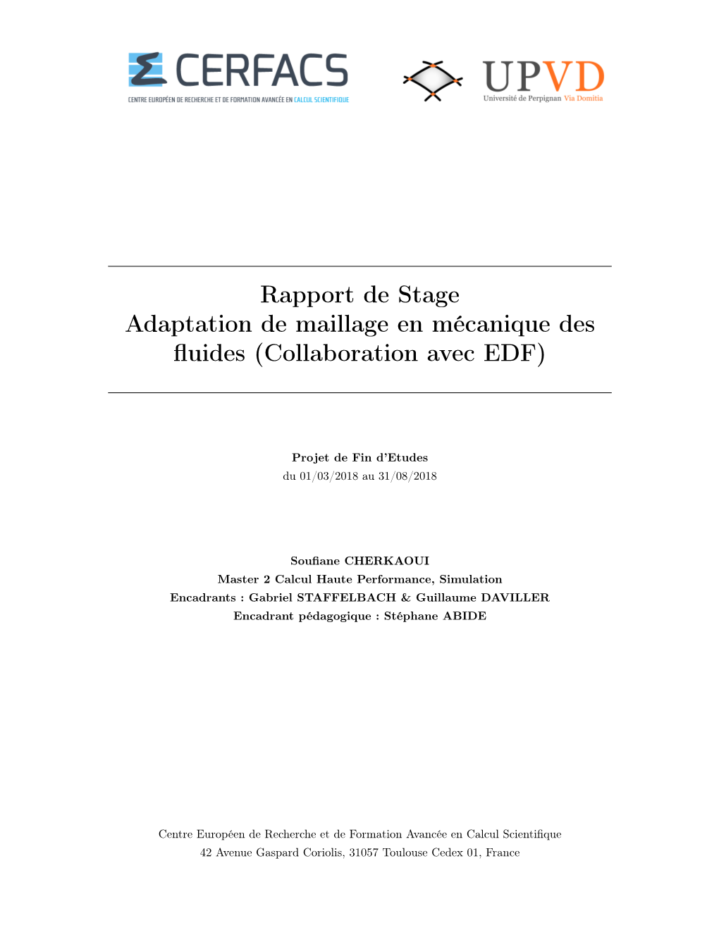 Rapport De Stage Adaptation De Maillage En Mécanique Des Fluides