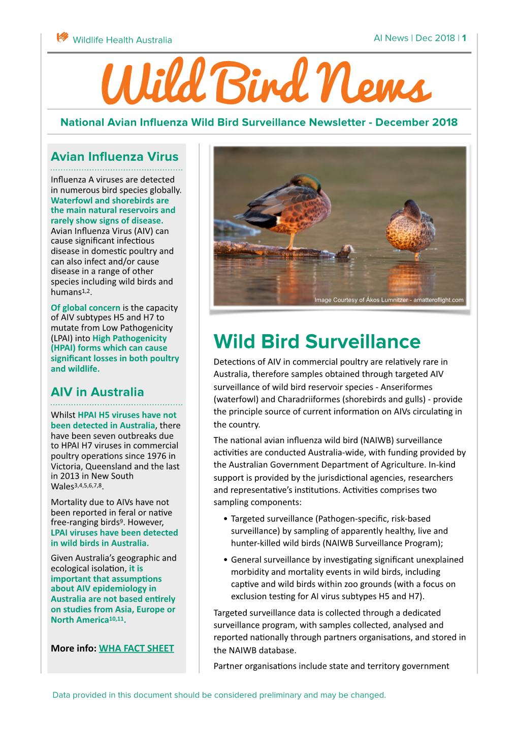 Wild Bird News December 2018