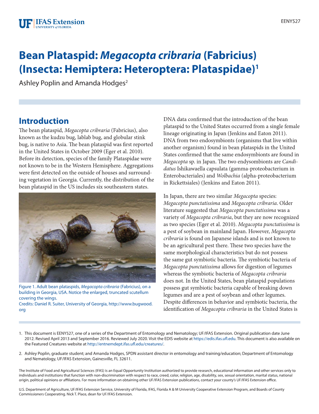 Megacopta Cribraria (Fabricius) (Insecta: Hemiptera: Heteroptera: Plataspidae)1 Ashley Poplin and Amanda Hodges2
