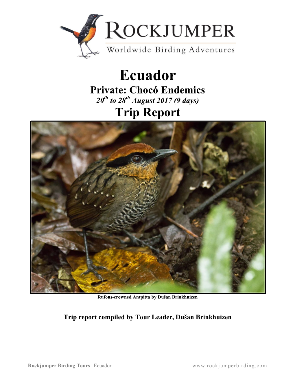 Ecuador Private: Chocó Endemics 20Th to 28Th August 2017 (9 Days) Trip Report