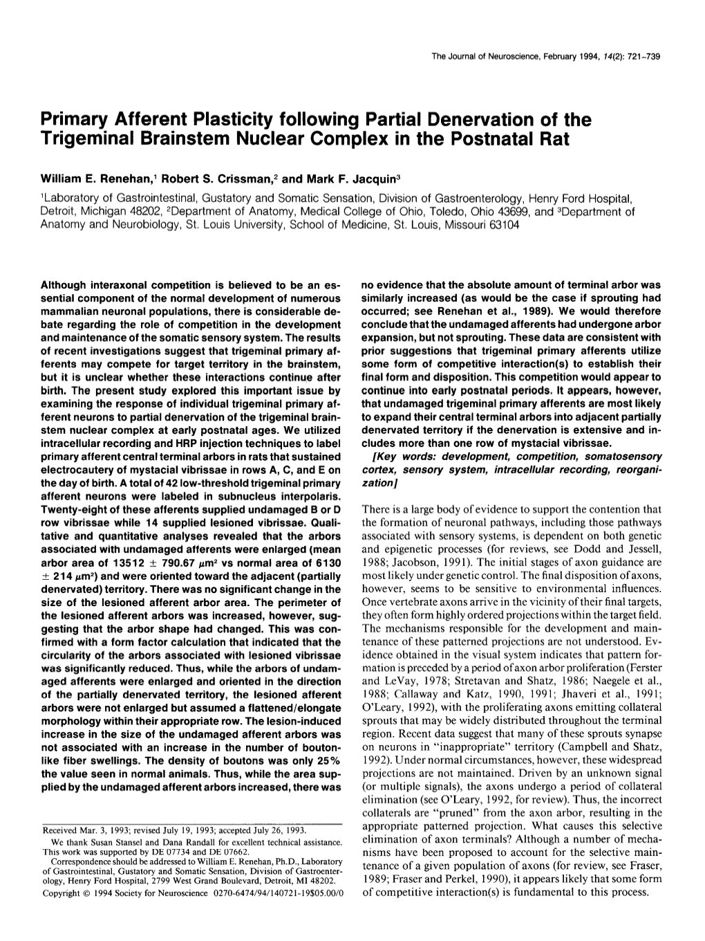 Primary Afferent Plasticity Following Partial Denervation of the Trigeminal Brainstem Nuclear Complex in the Postnatal Rat